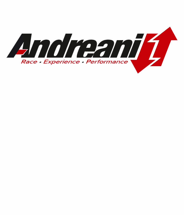 Andreani Group International logo